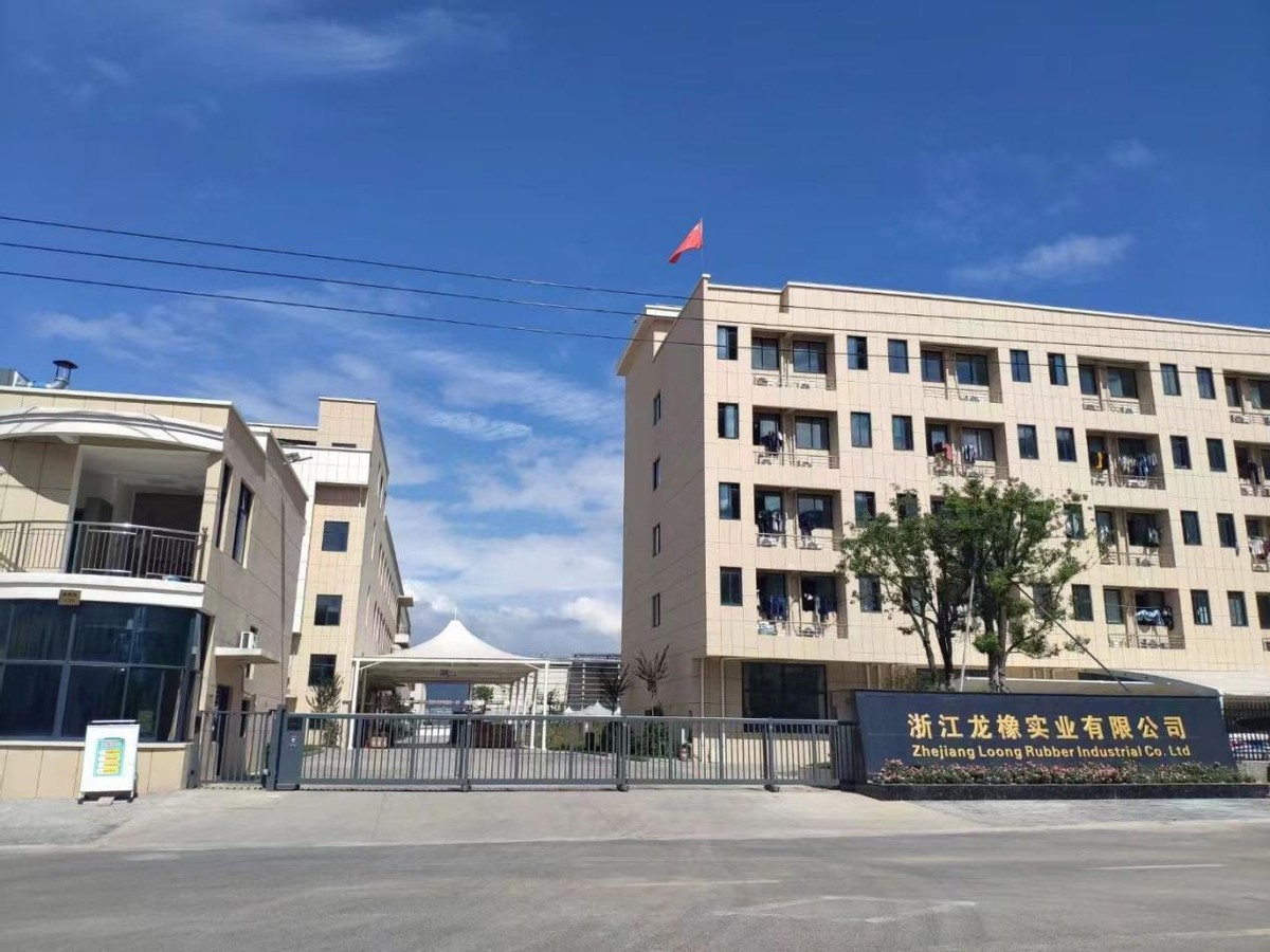 风云浙商 迎风启航——浙江龙橡实业
