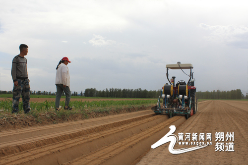 沃野新景象 农业谱新篇——怀仁市全力