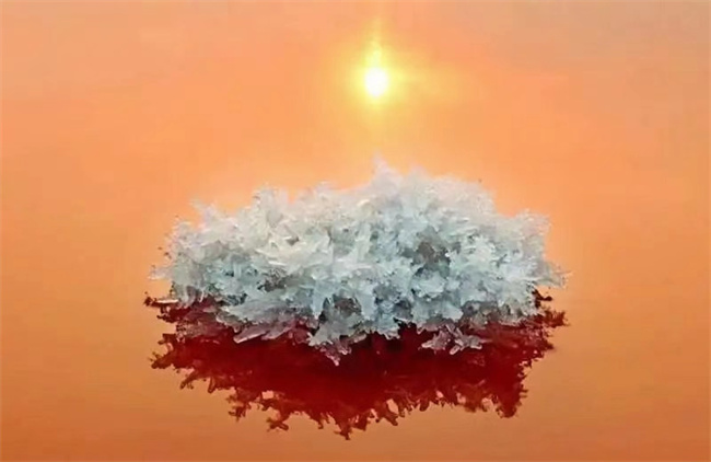 盐湖:硝花奇景