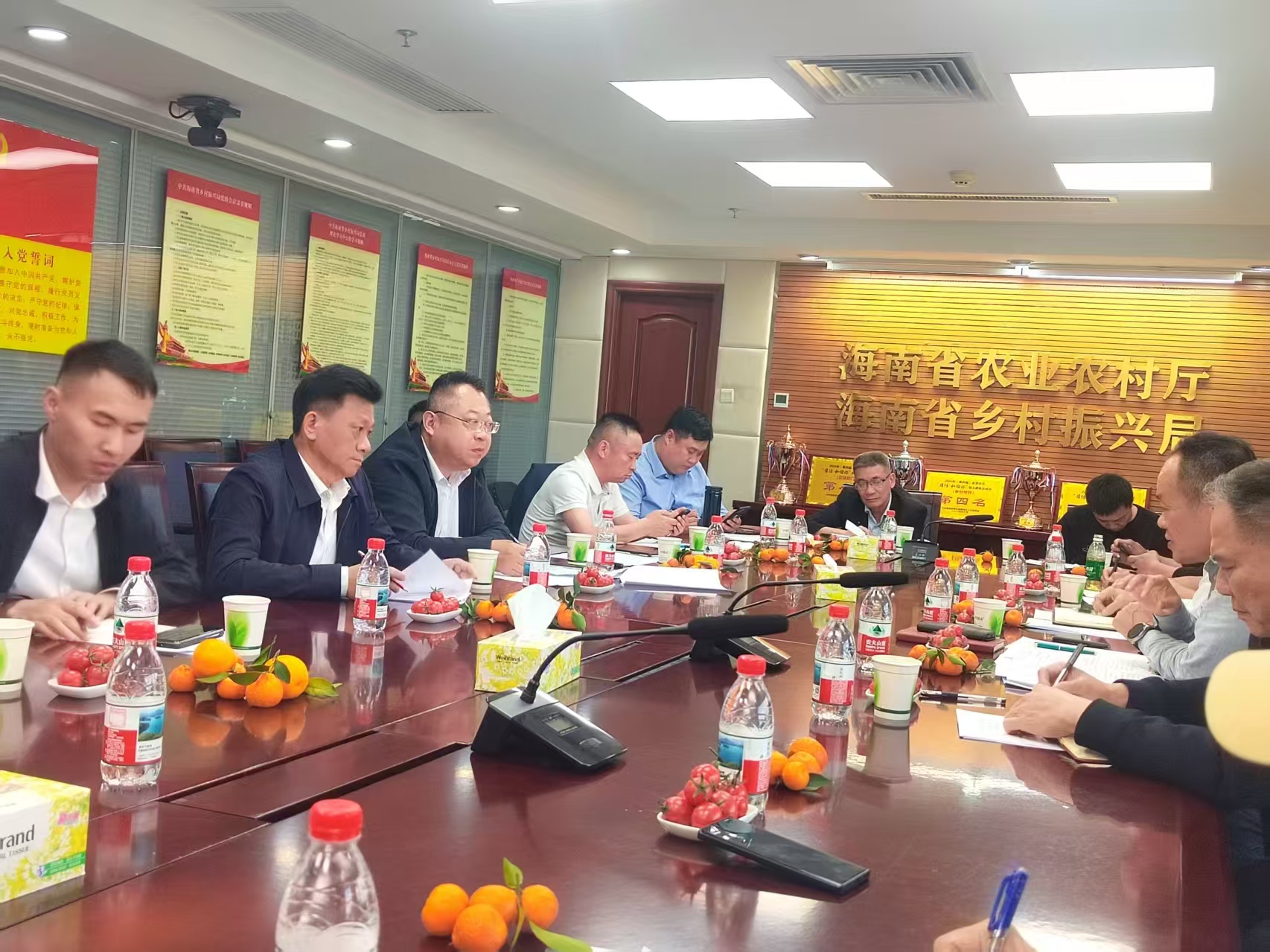 海南省农业农村发展促进会年度座谈会擘