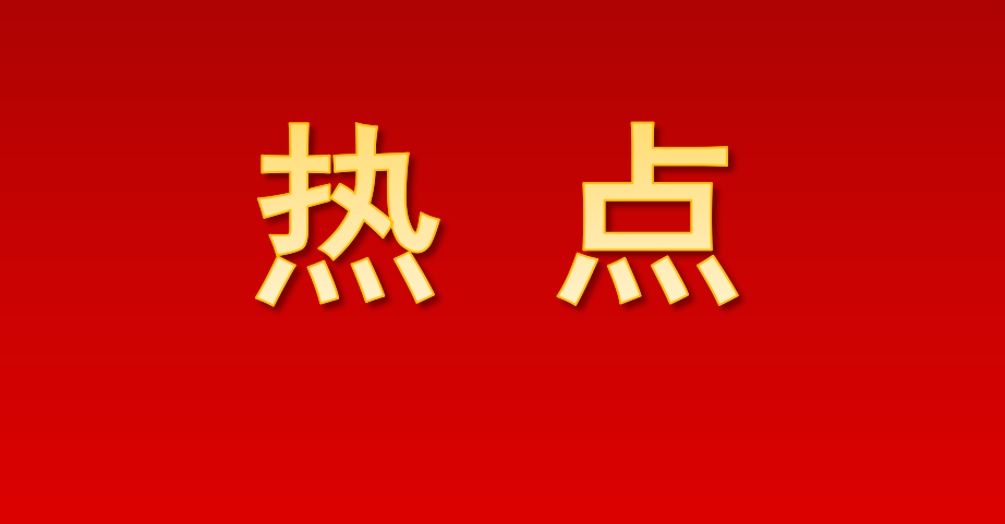 夯实就业根基 护航“一老一小”  多