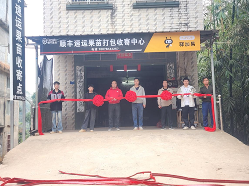 顺丰筑巢引“苗”飞         武利镇小苗木铺就增收新路 