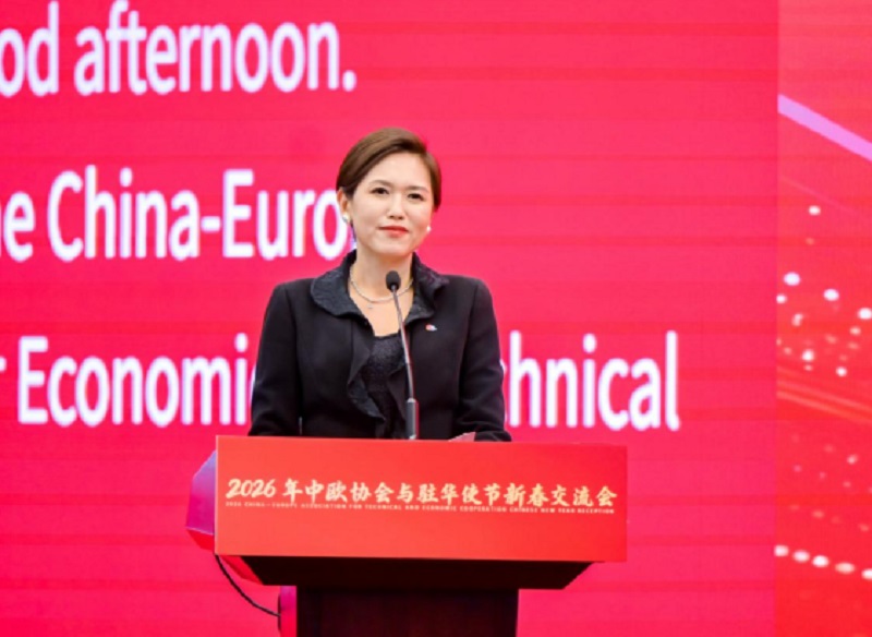 从产品贸易到技术共创——陈璟玥解读中欧工业合作升级路径 