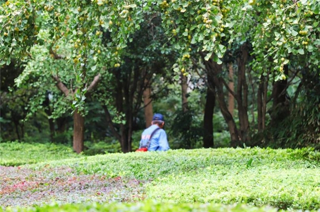 惊蛰启新序 守护满园春——金地智慧服务上海区域春日服务正当时 