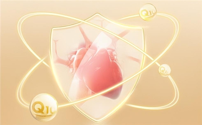 辅酶Q10哪个牌子好？2026全球十大品